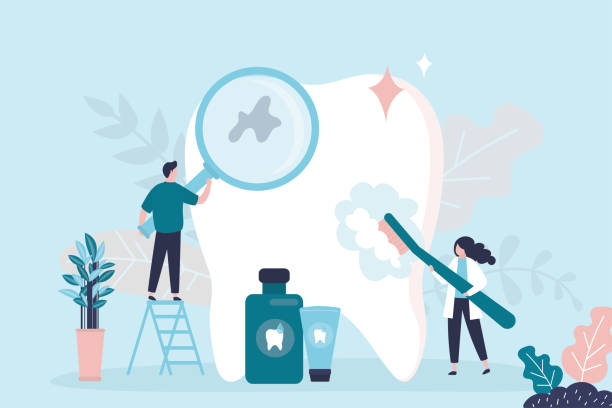 Professional Holistic Dental Care Services in Beckett Ridge, OH